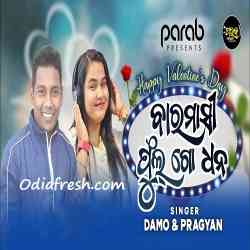 Baramasi Phul Go Dhana-Koraputia Song